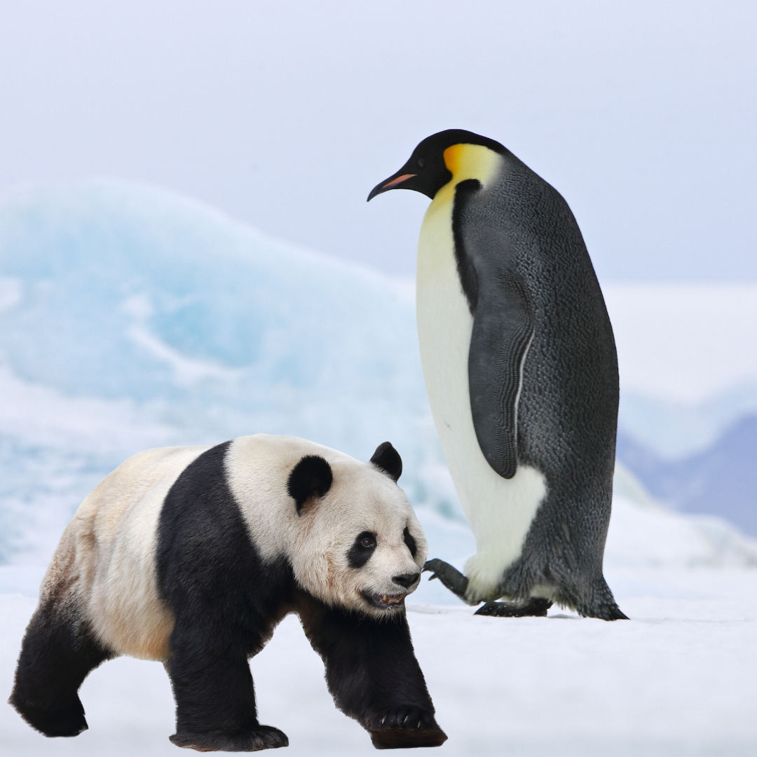 Google Panda and Penguin Safe